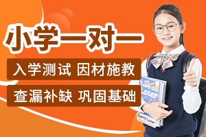 小学一对一辅导课程