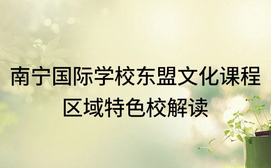 南宁国际学校东盟文化课程！