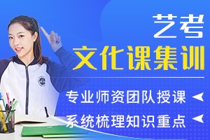 艺考文化课集训