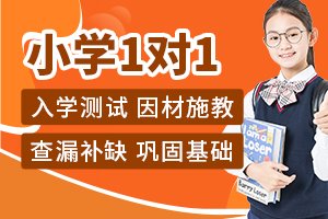 小学1对1辅导课程