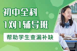 初中1对1课程