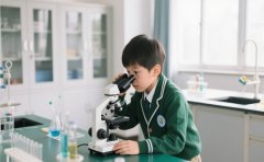 费用早知道 上海国际小学学费汇总