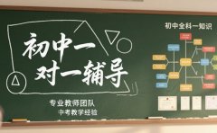 差价超百元！济南初中一对一辅导收费差距在哪​