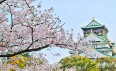 艺术vs普通专业!苏州日本留学中介收费差异解读