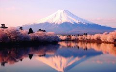 老牌vs新平台!长沙日本留学中介定价对比指南