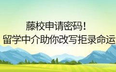 藤校申请密码!这些留学中介凭什么改写拒录命运