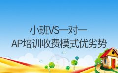 小班VS一对一 广州AP培训收费模式优劣势