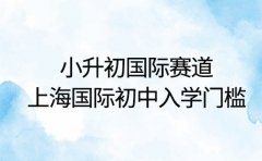 小升初国际赛道 上海国际初中入学门槛全解读