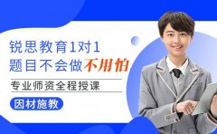 一文详解 锐思教育高中一对一的独特优势