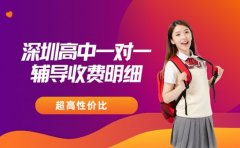 家长收藏！深圳高中一对一辅导收费明细与建议​