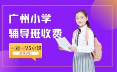 广州小学辅导班收费大揭秘 一对一VS小班价格对比