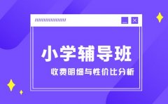 必看！杭州小学辅导班收费明细与性价比分析​