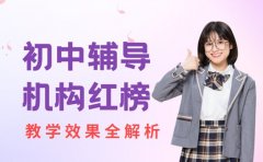 深圳初中辅导机构红榜 师资与教学效果全解析​