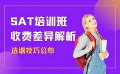 揭秘！南京SAT考试培训班收费差异与选课技巧​