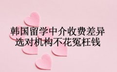 揭秘!成都韩国留学中介收费差异 选对机构不花冤枉钱