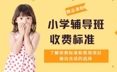 揭秘！武汉小学辅导班收费标准 这些费用项目要知道​