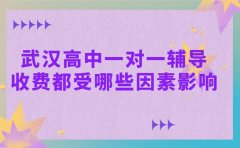 武汉高中一对一辅导 收费都受哪些因素影响