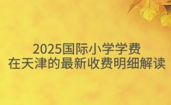 2025国际小学学费在天津的最新收费明细解读