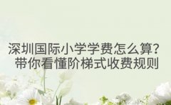 深圳国际小学学费怎么算？带你看懂阶梯式收费规则