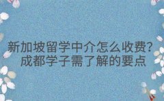 新加坡留学中介怎么收费?成都学子需了解的要点