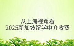 从上海视角看2025新加坡留学中介收费行情