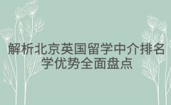 解析北京英国留学中介排名 教学优势全面盘点