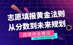 志愿填报黄金法则 从分数到未来的规划攻略