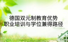 德国双元制教育优势 职业培训与学位兼得的路径分析