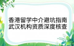 香港留学中介避坑指南 武汉机构资质深度核查