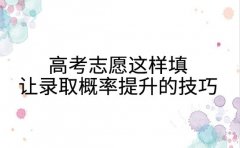 高考志愿这样填 让录取概率提升30%的技巧