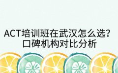 ACT培训班在武汉怎么选？口碑机构对比分析