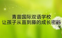 青苗国际双语学校 让孩子从苗到藤的成长密码