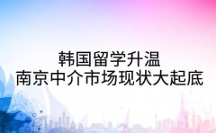 韩国留学升温 南京中介市场现状大起底