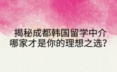 揭秘成都韩国留学中介 哪家才是你的理想之选？