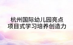 杭州国际幼儿园亮点 项目式学习培养创造力
