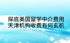 探底美国留学中介费用 天津机构收费有何玄机
