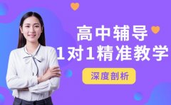 南京高中辅导新模式 一对一精准教学有妙招