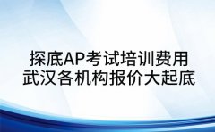 探底AP考试培训费用 武汉各机构报价大起底