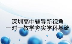 深圳高中辅导新视角 一对一教学夯实学科基础