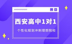 探究西安高中一对一 个性化规划冲刺理想院校