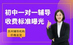 初中一对一辅导价格全览 苏州机构 2025 收费标准曝光