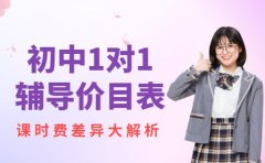 揭秘！成都初中一对一辅导价
