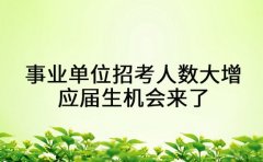 事业单位招考人数大增 应届生机会来了