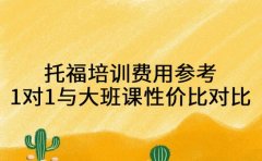 托福培训费用参考 一对一与大班课性价比对比