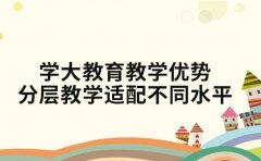 学大教育教学优势 分层教学适配不同水平