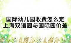 国际幼儿园收费怎么定 上海双语园与国际园价差解析