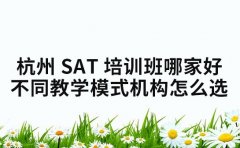 杭州 SAT 培训班哪家好 不同教学模式机构怎么选