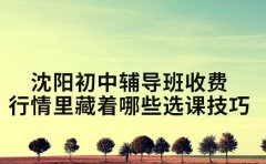 沈阳初中辅导班 收费行情里藏着哪些选课技巧