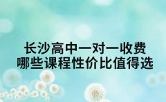 长沙高中一对一收费 哪些课程性价比值得选