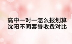 高中一对一怎么报划算 沈阳不同套餐收费对比